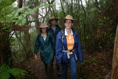 Mount Cougal, Springbrook National Park - Accommodation Gold Coast 0