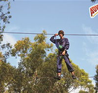 Adventure Parc at Currumbin Wildlife Sanctuary - Accommodation Gold Coast