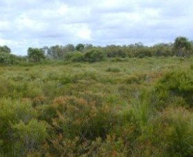 Pine Ridge Conservation Park