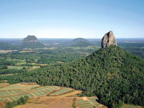 Mt Tibrogargan - 1 Gold Coast 0