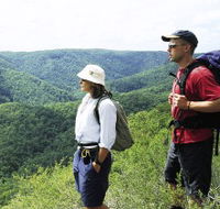Sunshine Coast Hinterland Great Walk - Accommodation Gold Coast