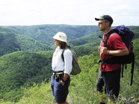 Sunshine Coast Hinterland Great! Walk - Accommodation Gold Coast 0