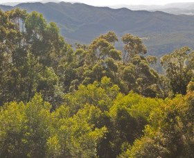 Booroobin QLD 1 Gold Coast