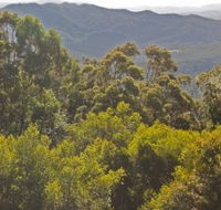 Conondale National Park - 1 Gold Coast