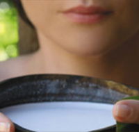 Ikatan Day Spa - Accommodation Gold Coast