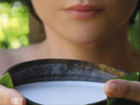 Ikatan Day Spa - Accommodation Gold Coast 0