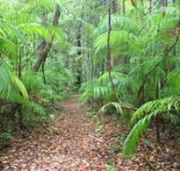 Delicia Road Conservation Park - Accommodation Gold Coast