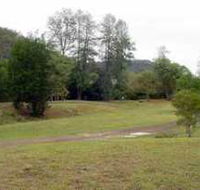 Brooyar State Forest - Accommodation Gold Coast
