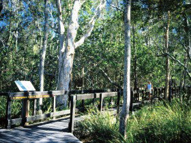 Noosa Heads QLD Accommodation Gold Coast