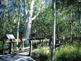 Kinaba Track - Gold Coast 4U 0
