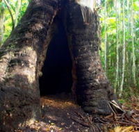 Tewantin National Park - Accommodation Gold Coast