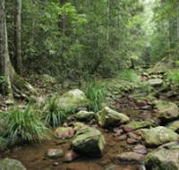 Amamoor State Forest - Accommodation Gold Coast