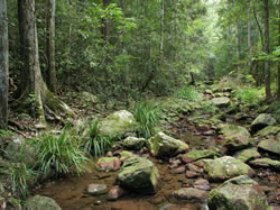 Amamoor State Forest - 1 Gold Coast 0