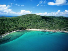 Noosa Heads Coastal Track - Accommodation Gold Coast 0