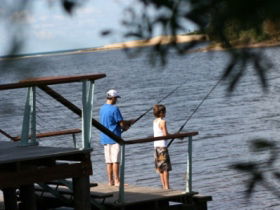 Currimundi Lake (Kathleen McArthur) Conservation Park - Accommodation Gold Coast 0