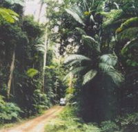 Conondale Great Walk - 1 Gold Coast