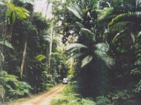 Conondale Great Walk - 1 Gold Coast 0