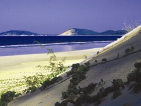 Cooloola, Great Sandy National Park - Accommodation Gold Coast 0