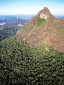 Mount Beerwah Track - Accommodation Gold Coast 0