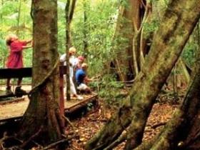Mary Cairncross Scenic Reserve - 1 Gold Coast 0