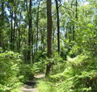 Mapleton Falls National Park - Accommodation Gold Coast