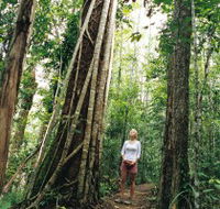 Wet Tropics - Accommodation Gold Coast