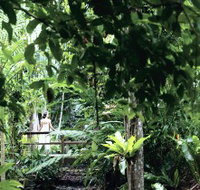 Flecker Botanic Gardens - Accommodation Gold Coast