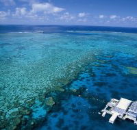 Agincourt Reef - Accommodation Gold Coast