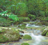 Mossman Gorge Daintree National Park - Accommodation Gold Coast