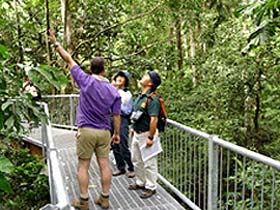 Daintree Discovery Centre - Accommodation Gold Coast 0