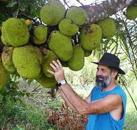 Cape Trib Exotic Fruit Farm - Accommodation Gold Coast