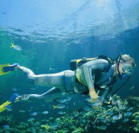 Tijou Reef - Accommodation Gold Coast