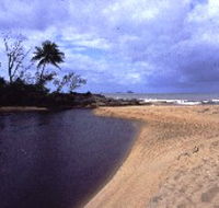 Russell River National Park - Accommodation Gold Coast
