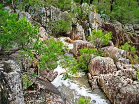 Pierces Creek QLD Accommodation Gold Coast