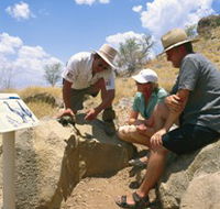 Riversleigh Fossil Fields - Accommodation Gold Coast