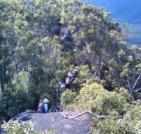 Mia Mia State Forest - Accommodation Gold Coast