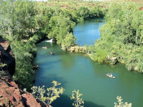 Wild Dog Dreaming, Boodjamulla (Lawn Hill) National Park - Accommodation Gold Coast 0