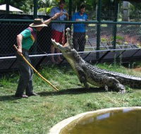 Snakes Downunder Reptile Park and Zoo - Accommodation Gold Coast