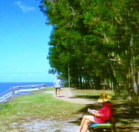 Melaleuca Track - Accommodation Gold Coast