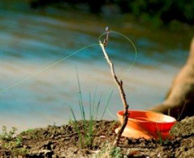 Charleville - Mangalore Warrego River Fishing Spot - 1 Gold Coast 0