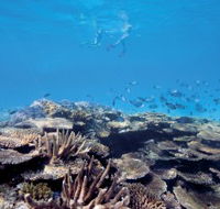 Australian Institute of Marine Science - Accommodation Gold Coast
