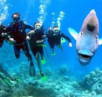 Gotham City Dive Site - Accommodation Gold Coast