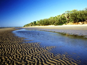 Burrum Coast National Park - 1 Gold Coast 0