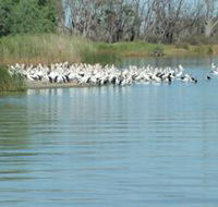 Lake Ross - Accommodation Gold Coast