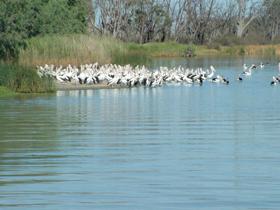 Lake Ross - Accommodation Gold Coast 0