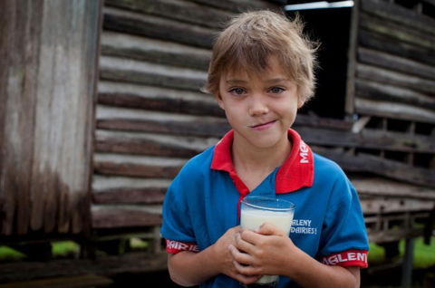 Maleny Dairies - 1 Gold Coast 2