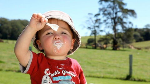 Maleny Dairies - 1 Gold Coast 5
