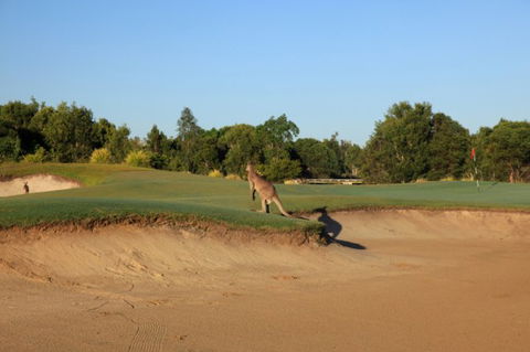 Pelican Waters Golf Club - Accommodation Gold Coast 6