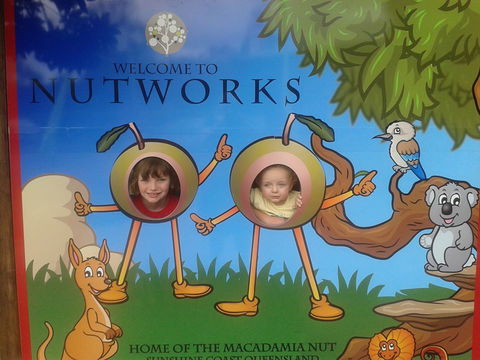 Nutworks - 1 Gold Coast 4