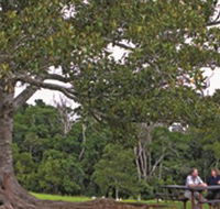 Ravensbourne National Park - Accommodation Gold Coast